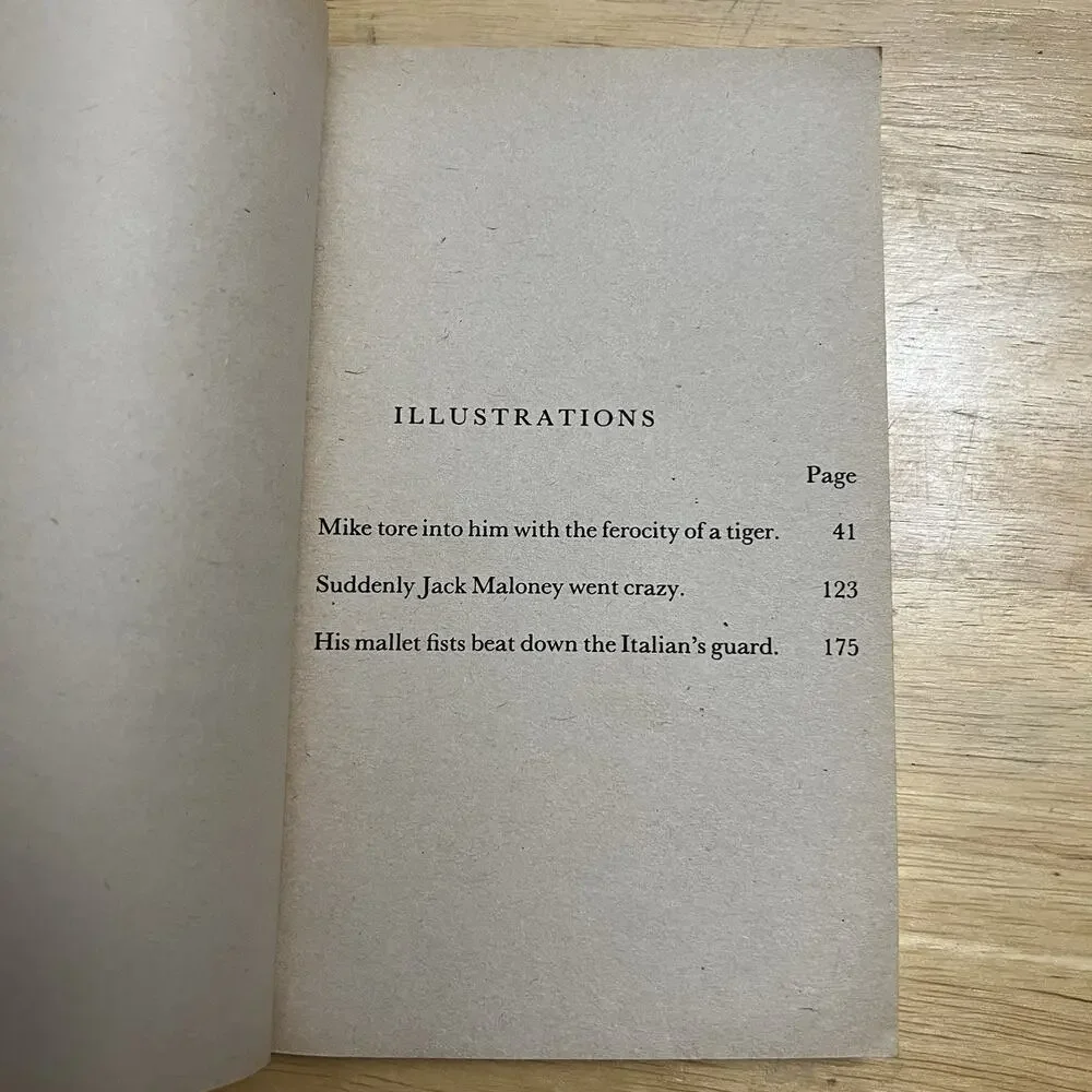 The Iron Man By Robert E Howard Vintage 1976 Zebra Paperback Book Fiction